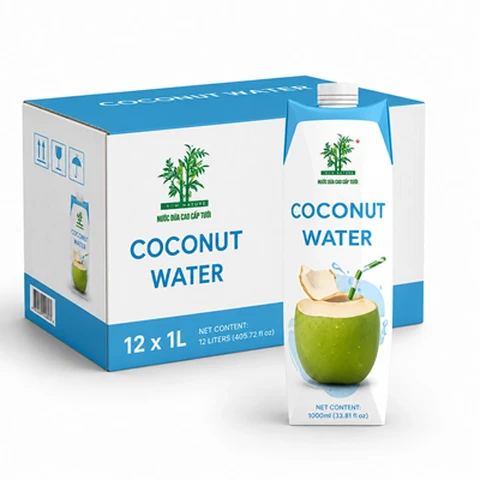 Bamboo Tree Kokosnusswasser, 12 x 1 L