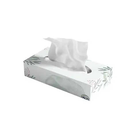 PANDA CUDDLE Luxury Soft Family 72 Sheets (21 Packs)