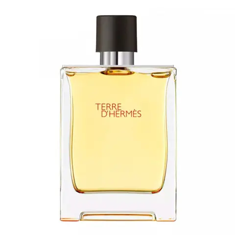 HERMÈS Terre d’Hermès Eau de parfum pour homme - 75 ml