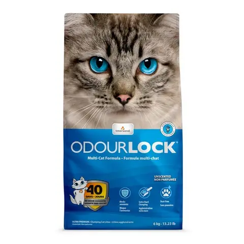 Intersand Odourlock Cat Litter 6kg