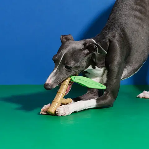 ZEZE Natural Bamboo Chew Toy, Durable Teething Toy for Puppies Kittens