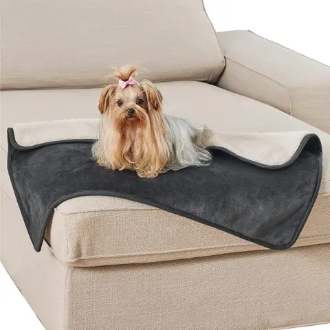 Lesure Wasserdichte Hundedecke, Waschbare Outdoor-Hundedecke, Sofaschutz, Sherpa-Fleece, Katzen-Decke, Flauschig und Weich, für Kleine Hunde, 80 x 60 cm, Dunkelgrau
