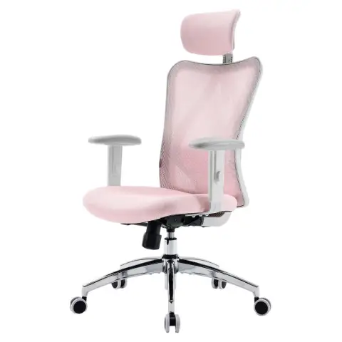 SIHOO M18 Ergonomic Office Chair, Computer Desk Chair with Adjustable Headrest and Lumbar Support, High Back Executive Swivel Chair for Home Office (Light Pink)
