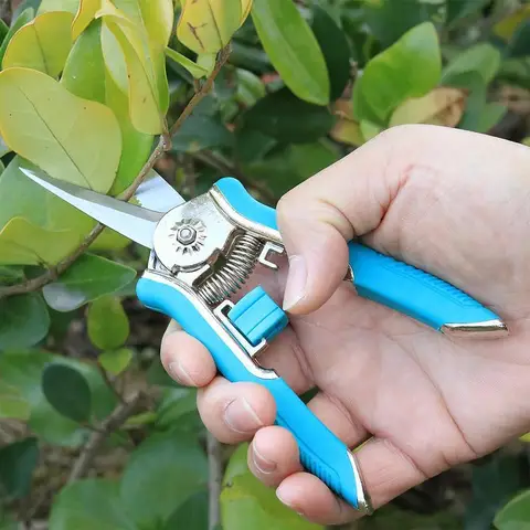 FLORA GUARD Micro-Tip Pruning Snip, 6.5 Inch Secateurs with Soft-Touch Handle, Pruning Shears, Stainless Steel (Blue)