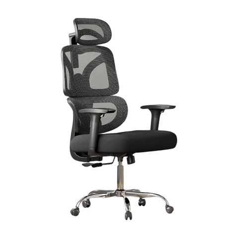 DEVAISE Office Chair, Ergonomic Office Chair with 4D Segmented Support Backrest, W-Shaped Cushion, 5D Armrests Headrest Adjustable, Mesh Chairs for Home Office, 180kg Capacity, Black