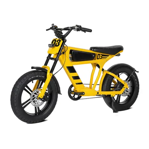 Mangosteen FT03 250 W e-bike met uitneembare 48 V 18,2 Ah lithium-ionaccu, 25 km/u, 75 km actieradius, COC-gecertificeerd, 20 x 4,5 inch vulkaanbanden, dubbele vering en hydraulische schijfremmen, all-terrain e-bike met LCD-display voor off-road avonturen en stedelijk woon-werkverkeer - geel