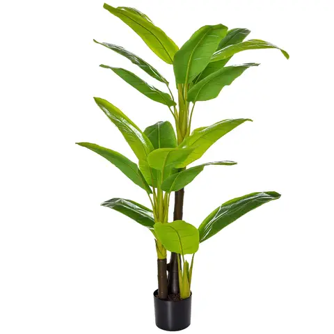 kirschlorbeer welcher boden kirschlorbeer-prunus-laurocerasus-novita-wurzelware-30-40-cm main image 1