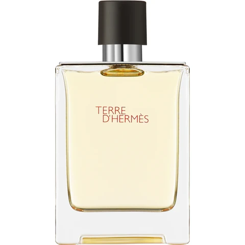 HERMÈS Terre d’Hermès Eau de toilette pour homme 100 ml