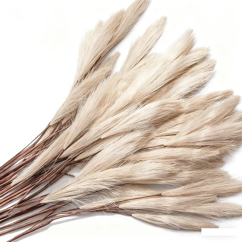 Yuejia Lot de 10 tiges de pampa séchées artificielles beige - 48 cm