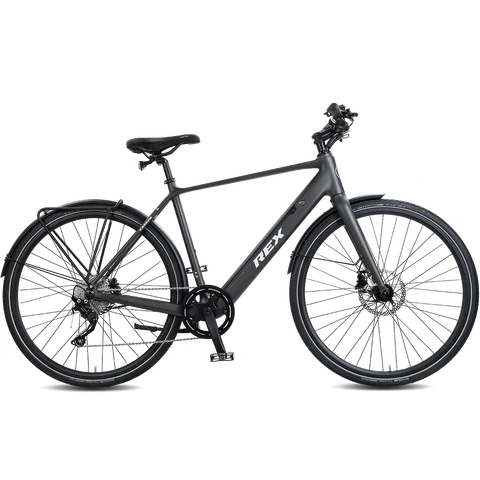 Rex Carbon E-Bike Diamant 52 light grey