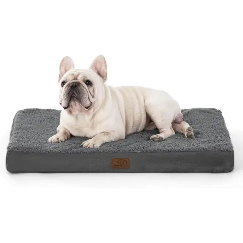 Bedsure Hundekissen, Ei-förmiger Schaumstoff für kleine, mittlere und große Hunde, Orthopädisches Hundebett, Gemütlicher Schlafbereich, 75 x 50 cm, Waschbar, Höhe 8 cm, grau