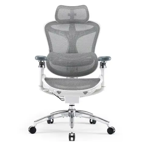 SIHOO Doro C300 Pro Ergonomic Office Chair with Ultra-Soft 6D Armrests, Dynamic Lumbar Support, Seat Depth Adjustment and Adjustable Backrest Desk Chair for Home Office (White)