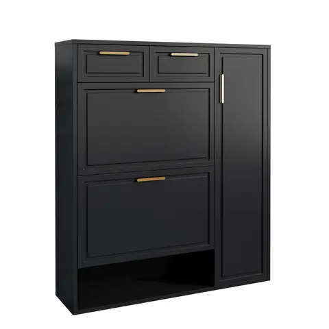 Moderne schoenenkast met verstelbare planken, goudkleurige handgrepen, lades, flip-top schoenenopslag en deuren, zwart