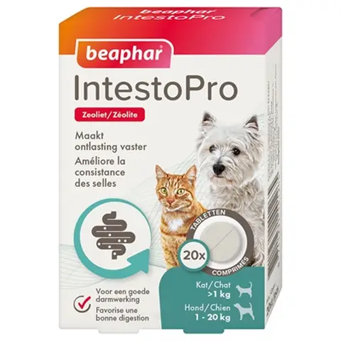 Beaphar Comprimés pour chats et chiens, améliore la diarrhée et les troubles digestifs, améliore l’estomac et l’intestin, pour animaux de poids inférieur à 20 kg, 20 comprimés