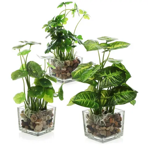 MyGift Set aus 3 künstlichen Pflanzen, kleine künstliche Zimmerpflanzen in klarem Glasgefäß, 24 cm Kunstpflanzen für Wohnungsdekoration