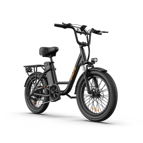 URLIFE E20 adult E-bike 250W 48V 13Ah battery commute Electric Bike,20-inch Fat Tire city ebike URLIFE E20（black）