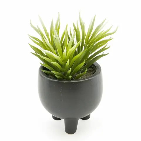 Candlelight Artificial Ice Plant Succulent in Ceramic Pot 15cm