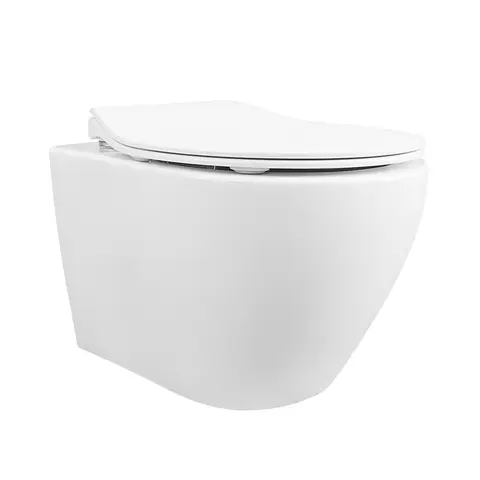DeerValley Wall Hung Toilet Set Rimless Wall Mounted Toilet with Soft Close Seat, Quiet Design, Smooth Ceramic Surface, D-Shape Design, Compact 51.5cm Hanging Toilet for Guest Bathroom