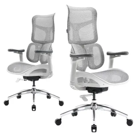 SIHOO Ergonomic Office Chair with Dual Dynamic Lumbar Support, Desk Chair with 5-Way Adjustable Backrest, Office Chair with 4D Coordinated Armrests (S100 White)