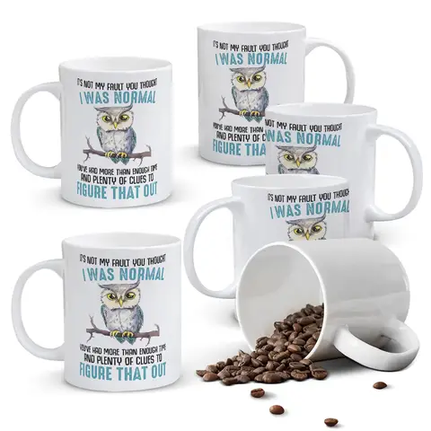 Alphynix 1pc 11oz White Ceramic Mug Featuring a Witty Owl and Sarcastic Quote, Unique Personality Declaration Gift for Thanksgiving or Christmas