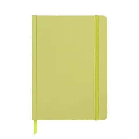 Jubiluu A5 ungedatierter Hardcover-Planer, 18-Monats, 112 Blatt (100 g Offsetting-Papier), Lesezeichen & Gummiband - Ungedatierter Planer für langfristige Planung, Zielerreichung oder tägliche Organisation - salbeigrün