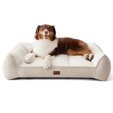 [Ab €19,99] BEDSURE Haustiersofa, einfarbig, große Ausführung, Hundesofa, Sand Beige, 89 x 63 x 20 cm, Größe L