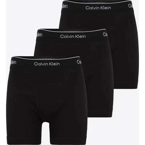 Calvin Klein Unterwäsche 3er-Pack BOXER BRIEF - Schwarz Größe L