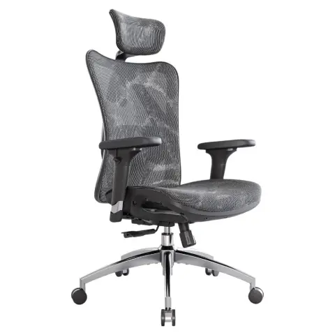SIHOO M57 Ergonomic Office Chair Mesh Desk Chair with Adjustable Lumbar Support 3D Armrests Breathable High Back Computer Chair(Grey)