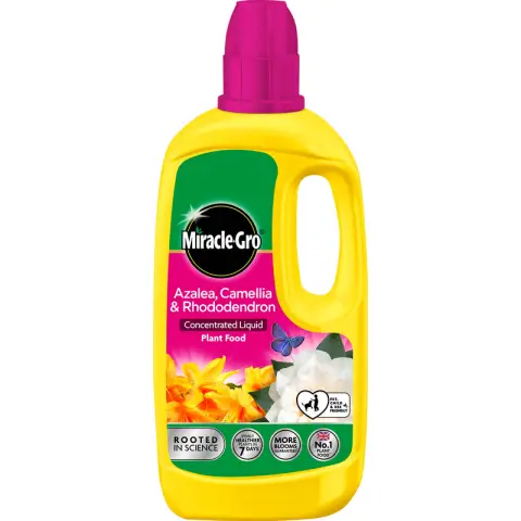 Miracle Gro Azalea, Camellia and Rhododendron Feed 800ml