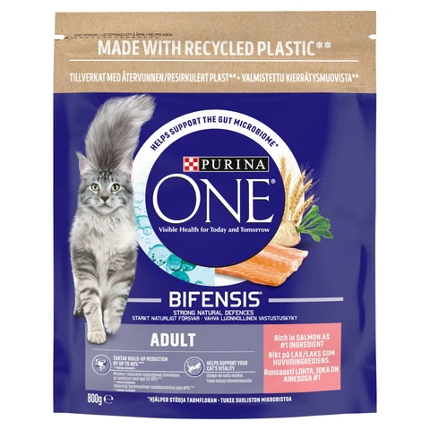 Purina ONE Adult Cat Food with Salmon & Whole Grains 800g