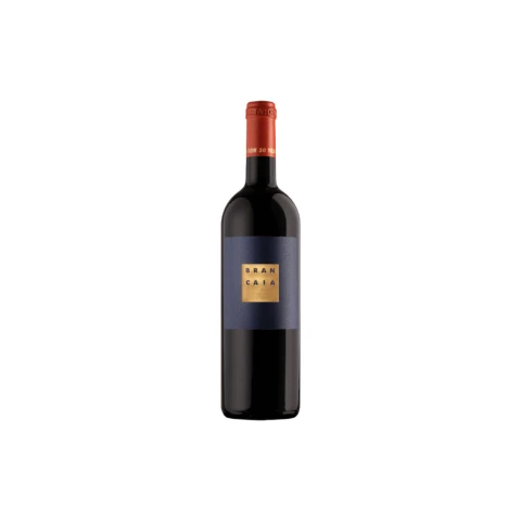 2020 Il Blu Rosso di Toscana Organic, Brancaia