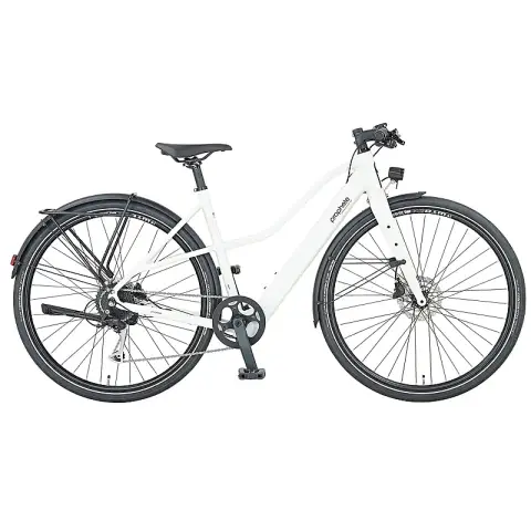 Prophete E-Bike Urbanicer 2.0, 28 Zoll, Reichweite bis zu 110 km, Hinterradmotor, LCD-Display, Rahmenhöhe 48 cm