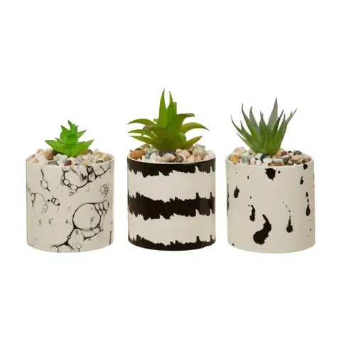 Premier Housewares Set mit 3 weißen und schwarzen Sukulenten, Kunstmarmer-Topfpflanzen mit glasierter Oberfläche, mit mehrfarbigen Steinen