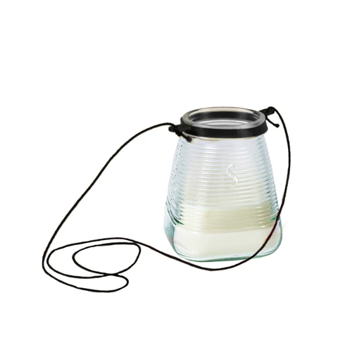 Citronella and Ginger garden Lights with Hanger