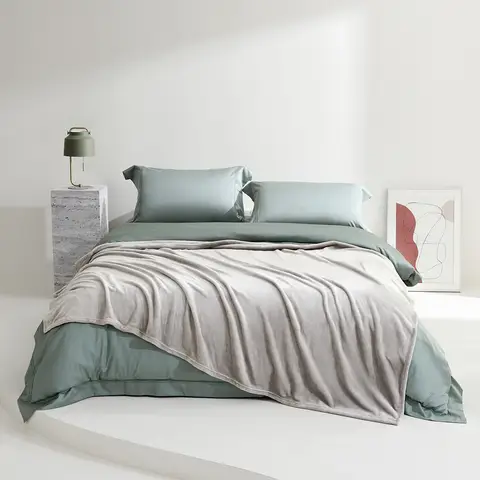 Luolai Super Soft Night A Class Flanged Velvet Blanket Grey