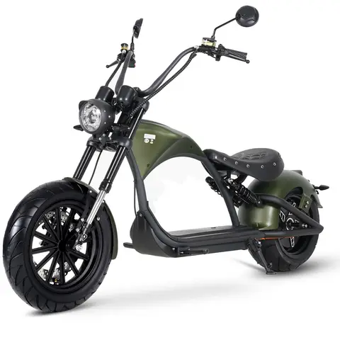 Mangosteen M1P Elektro-Motorrad, mit Leistungsstarkem 2000W-Motor und 60V 30Ah Akku, 45km/h, bis zu 80km Reichweite, Hydraulische Scheibenbremsen, Doppelstoßdämpfer vorne und hinten, 200 kg belastbarer E-Motorroller für Erwachsene