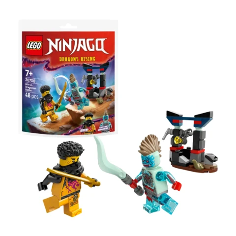 LEGO® NINJAGO® 30700 Arins Duell mit dem Drachenmenschen