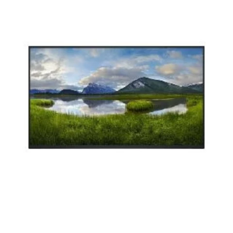 Dell 24 Monitor - P2425H