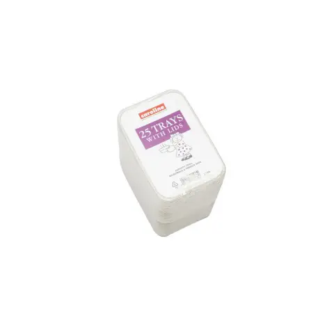 500ml Plastic Tub with Lid (Bulk)