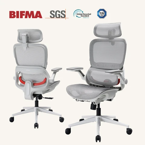 SIHOO B100 Ultra Chaise de Bureau Ergonomique, Chaise de Bureau en Maille avec Soutien Lombaire Adaptatif, Chaise d’Ordinateur avec Large Appui-Tête, Chaise de Bureau avec Accoudoirs Relevables et Pivotants à 360°, Gris Clair