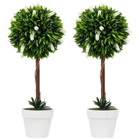 Weie Lavendelpflanze | Aromatische Kruter > Gartencenter