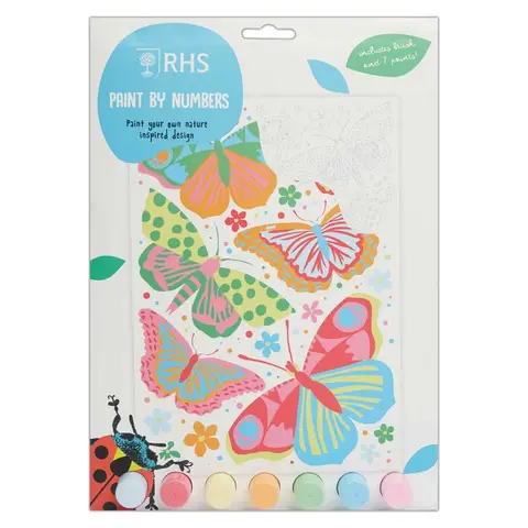 RHS Butterflies Paint By Numbers Kit