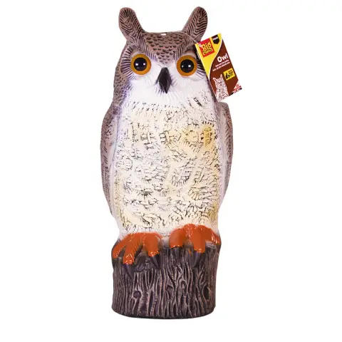 Big Cheese Owl