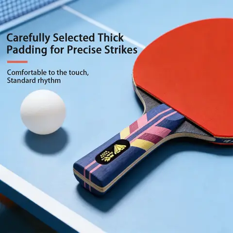 Double Fish Diamond Series 9-Star Professional Table Tennis Racket Shakehand Single Paddle