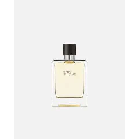 Hermès - Terre d'Hermès eau de toilette 100 ml