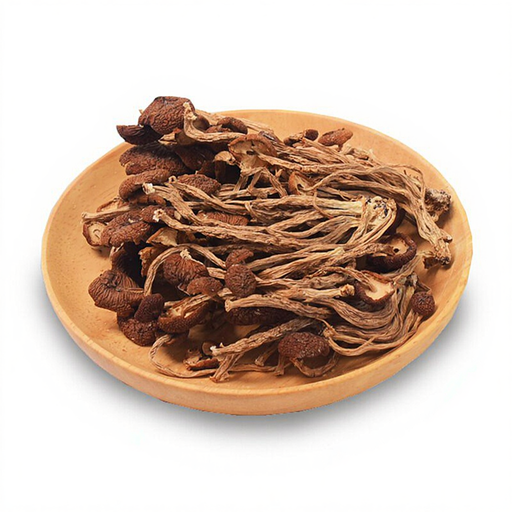 Chinese Tea Tree Mushroom 100g