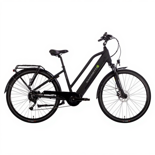 Saxonette 28 Zoll E-Bike in Mattschwarz