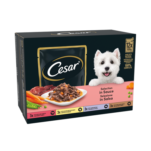 Cesar Deliciously Fresh Dog Food Pouches Mixed Selection