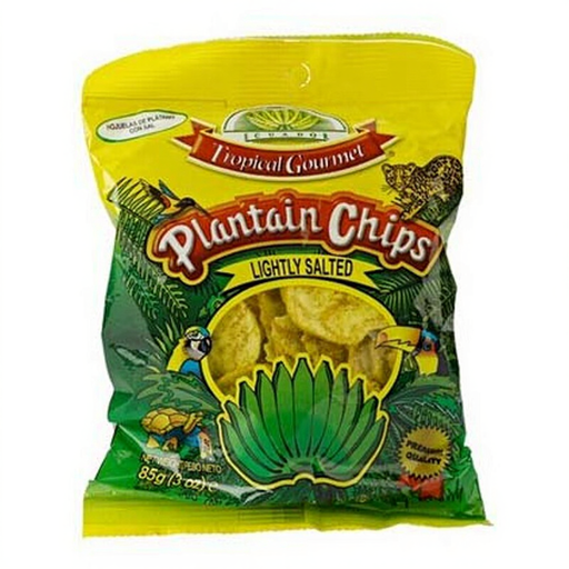 TG Salted Plantain Chips