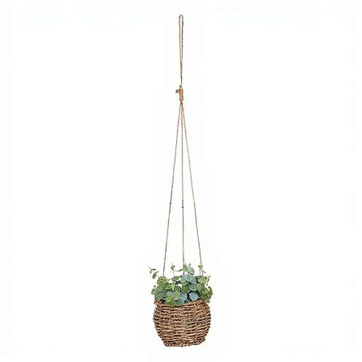 PLANTS NAT TO HANG ZOE H17 BOX